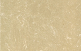 ZYAS0504