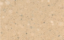 ZYAS0509