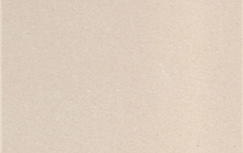 ZYAS0521